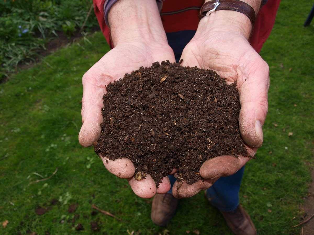 Vermicompost